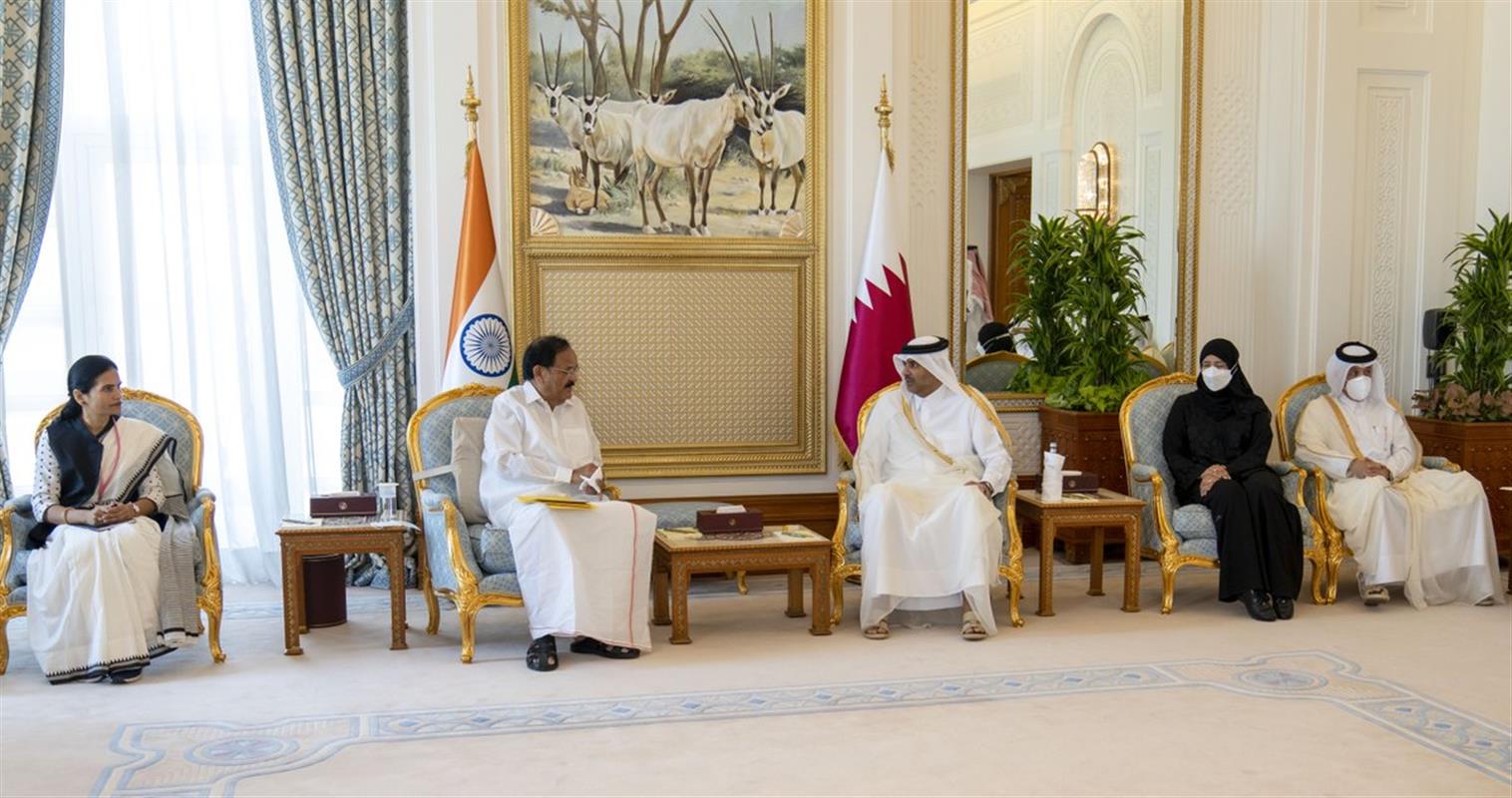 Qatar Prime minister meets with Indian vice president